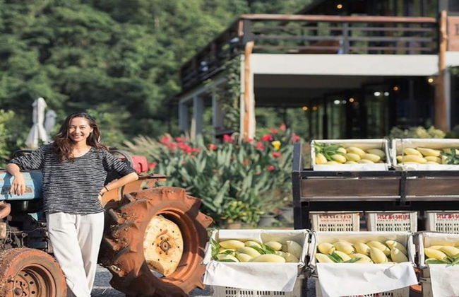 Khao Yai Instagram and Food & Wine Tour - Foto 2